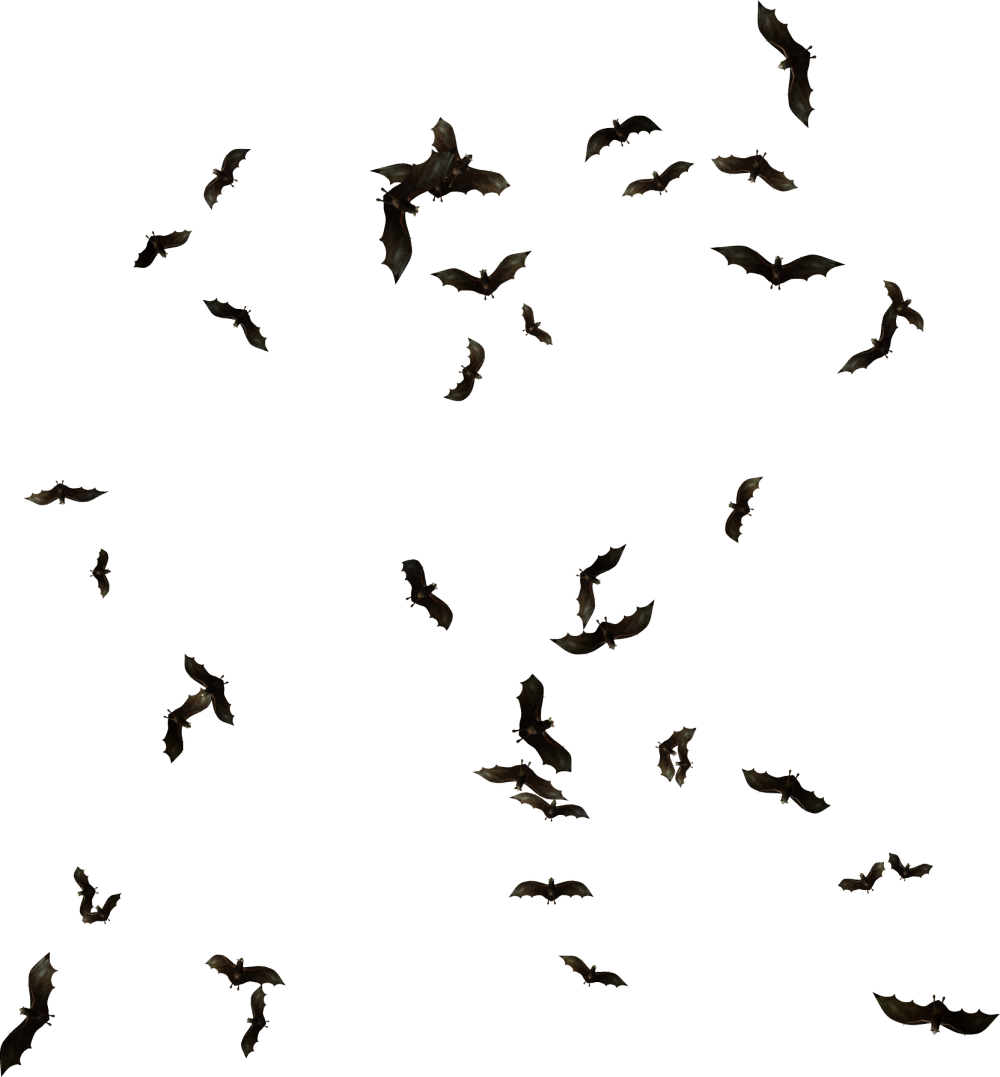 Index of /Mapping/Objects/Animals/Bats